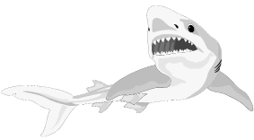 Great White